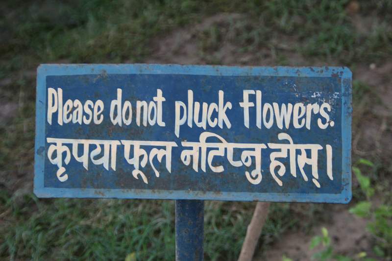 India & Nepal 2011 - 0651